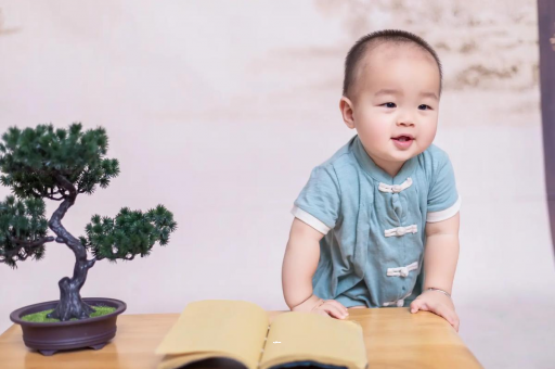 渭南可爱的企鹅宝宝